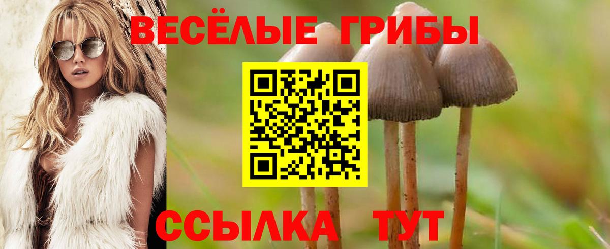 Псилоцибиновые грибы Cubensis Рузаевка